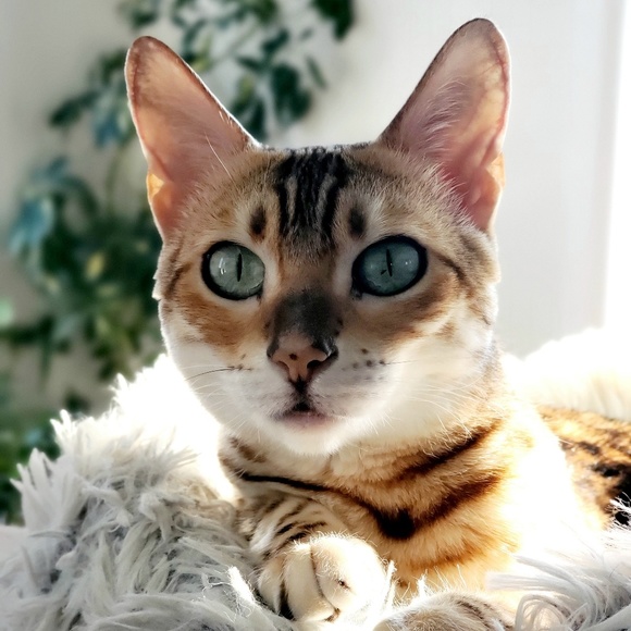 Hey! - Picture 1 of 1